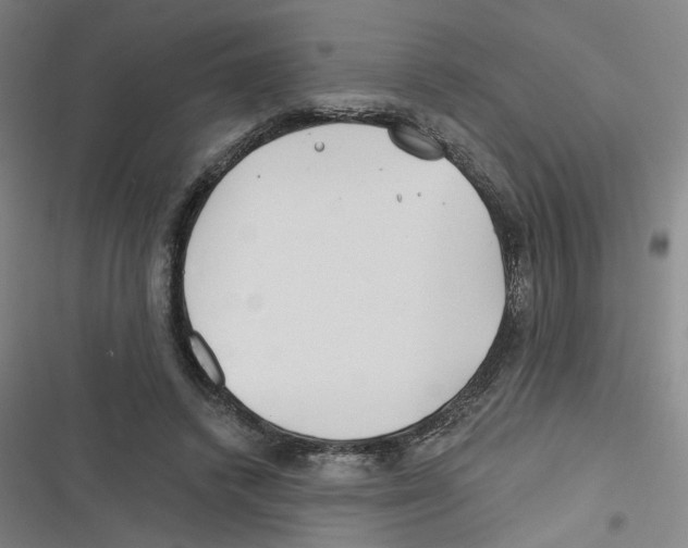 X0000116670448201001111314