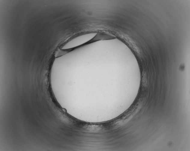 X0000116670449201001111314