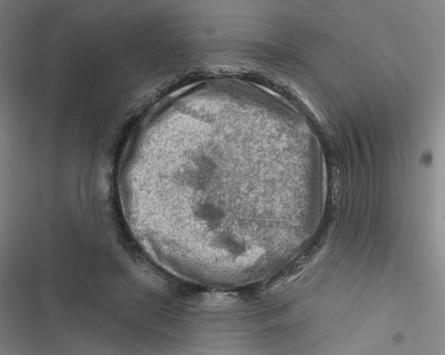 X0000116670451201001111314