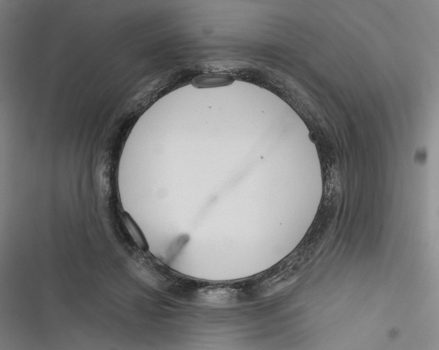 X0000116670452201001111314