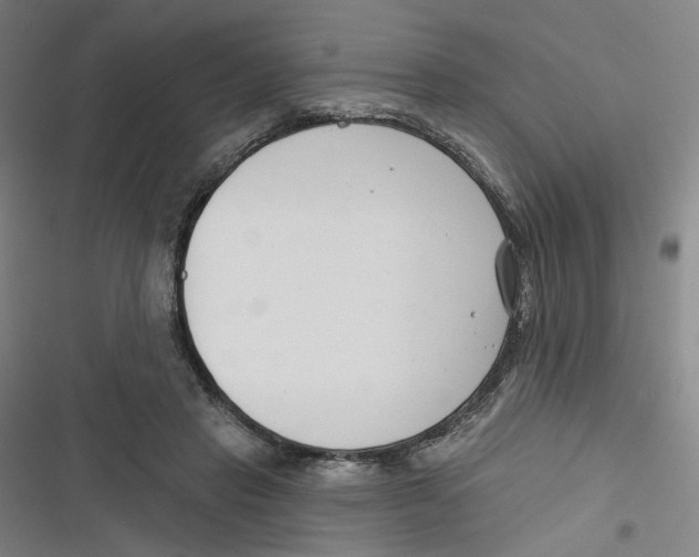 X0000116670453201001111314