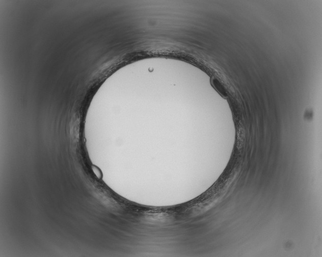 X0000116670454201001111314