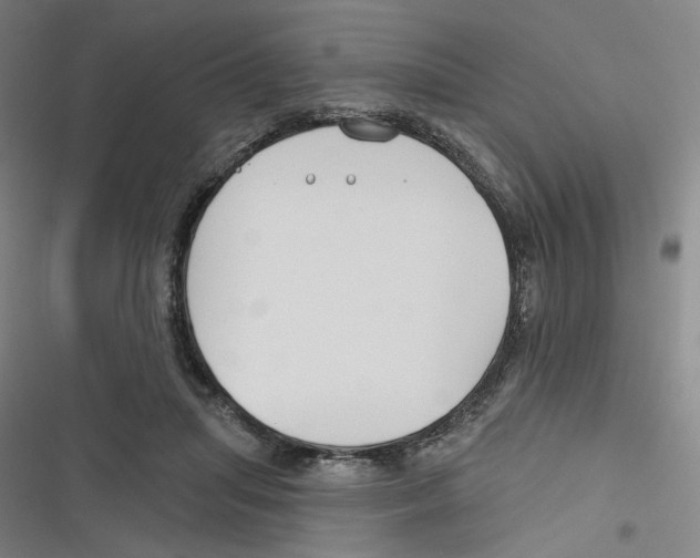 X0000116670455201001111314