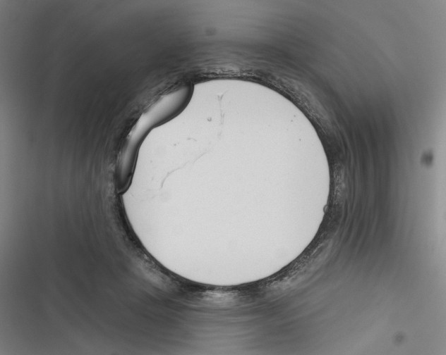 X0000116670457201001111314