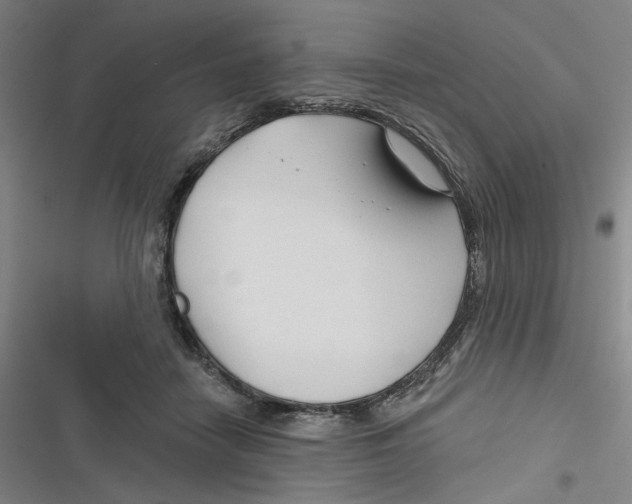 X0000116670458201001111314