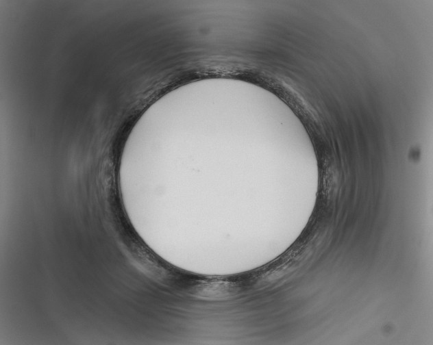 X0000116670459201001111314