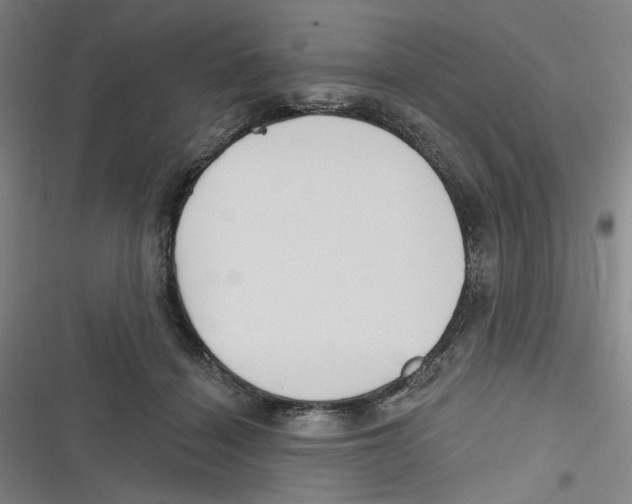 X0000116670460201001111314