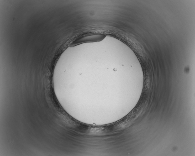 X0000116670461201001111314