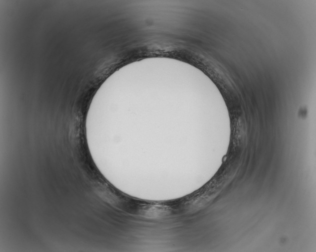 X0000116670463201001111314