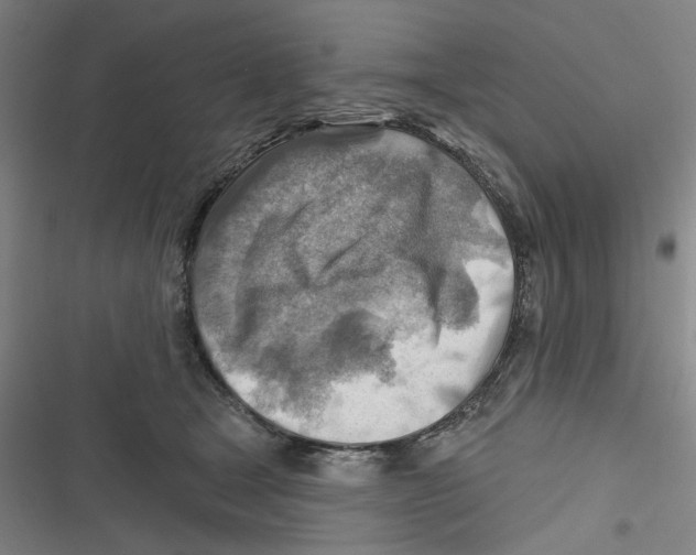 X0000116670465201001111314