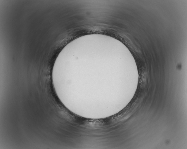 X0000116670466201001111314