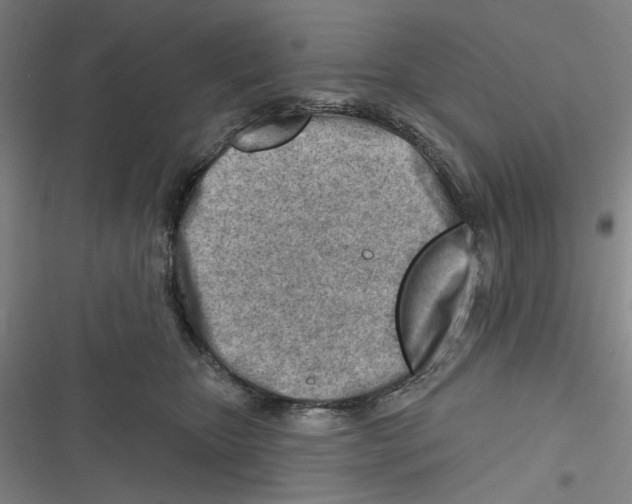 X0000116670467201001111314