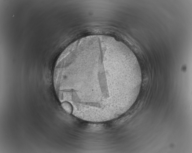 X0000116670469201001111314