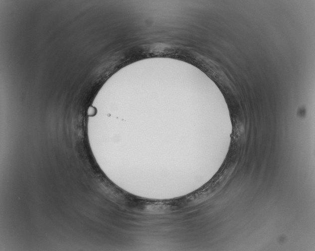 X0000116670470201001111314