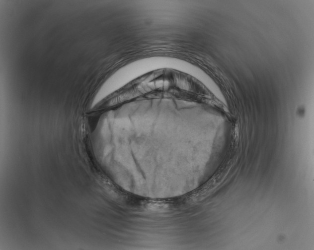 X0000116670471201001111314