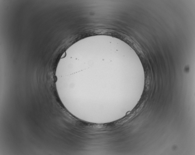 X0000116670473201001111314