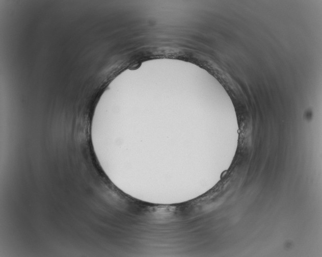 X0000116670474201001111314