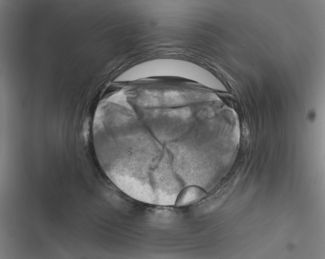 X0000116670475201001111314