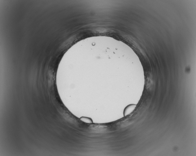 X0000116670476201001111315