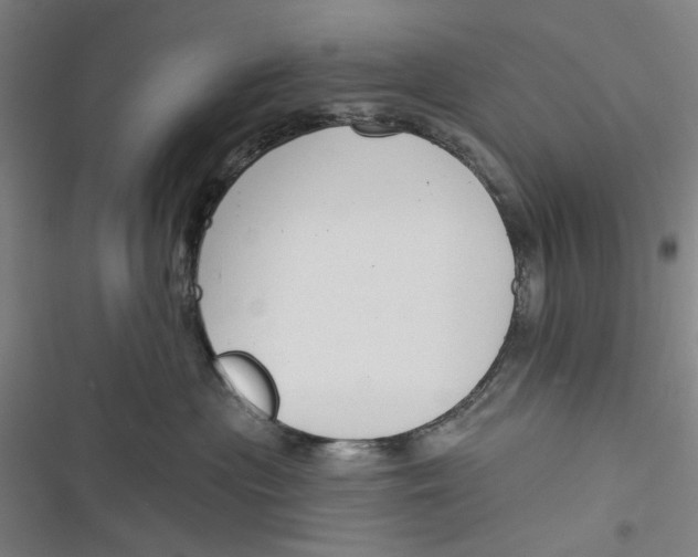 X0000116670477201001111315