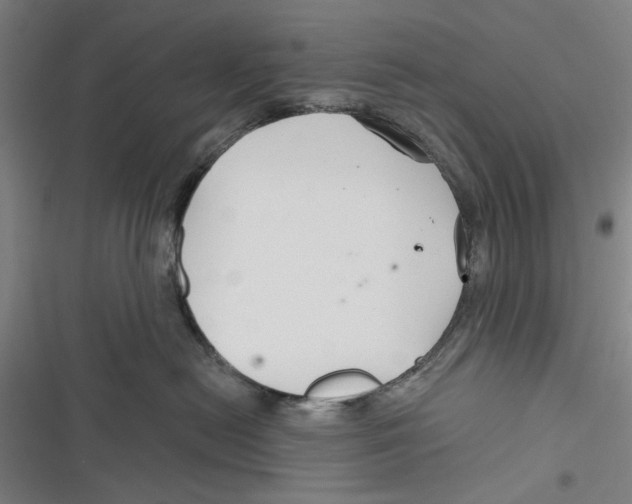 X0000116670478201001111315