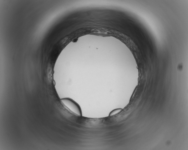 X0000116670479201001111315