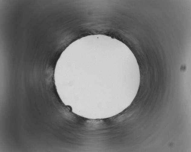 X0000116670480201001111315