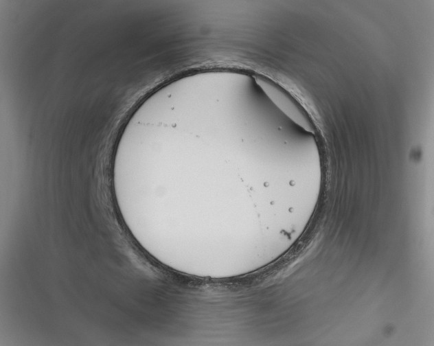 X0000116670481201001111314