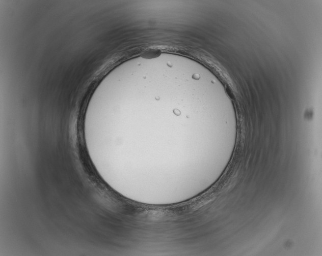 X0000116670482201001111314