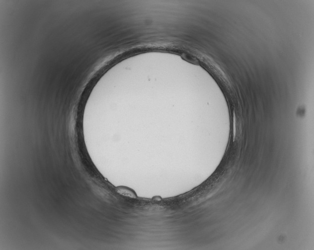 X0000116670483201001111314