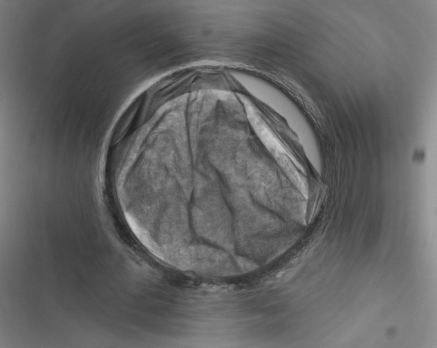 X0000116670484201001111314