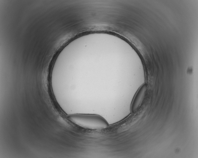 X0000116670485201001111314