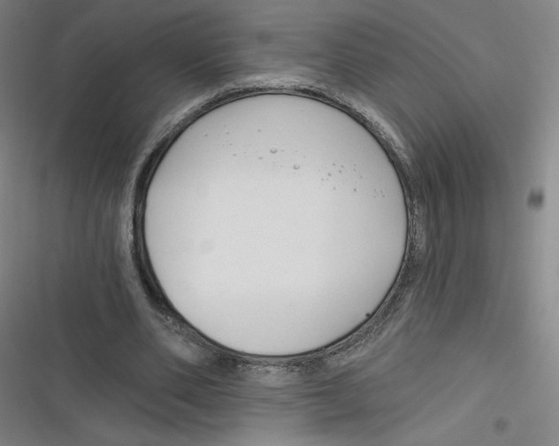 X0000116670486201001111314