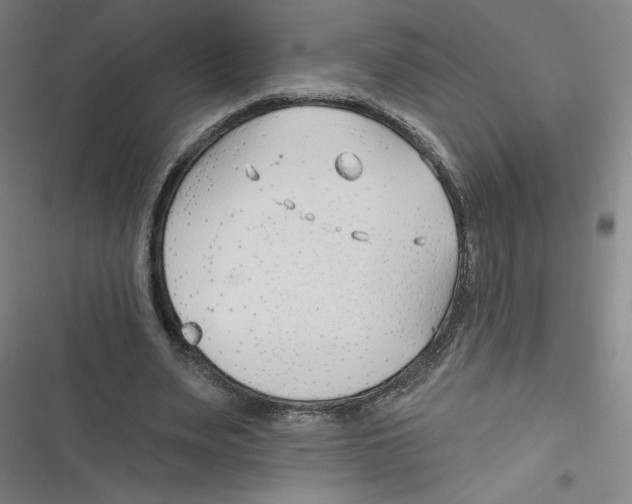 X0000116670487201001111314