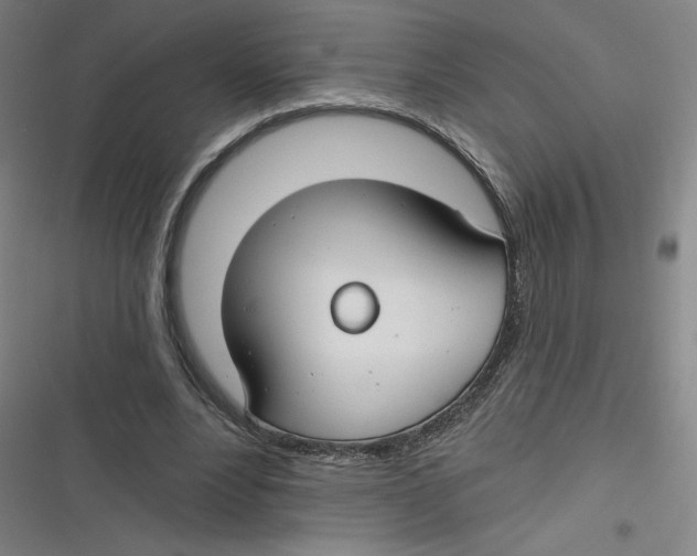 X0000116670488201001111314