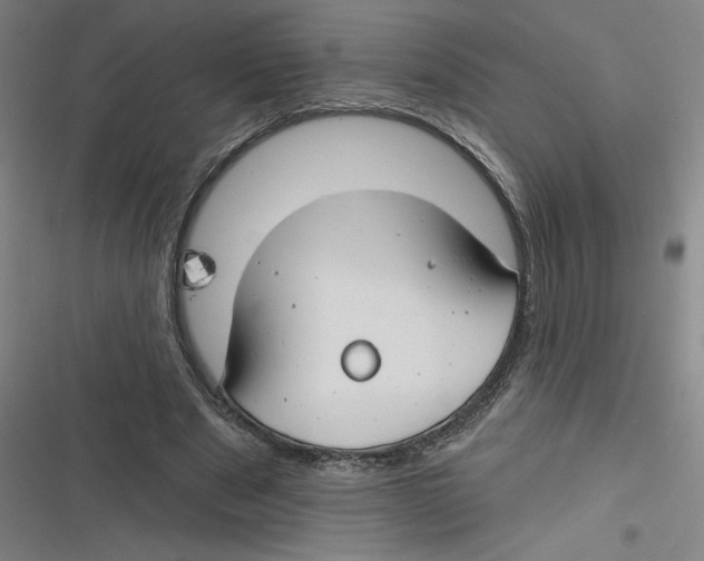 X0000116670489201001111314