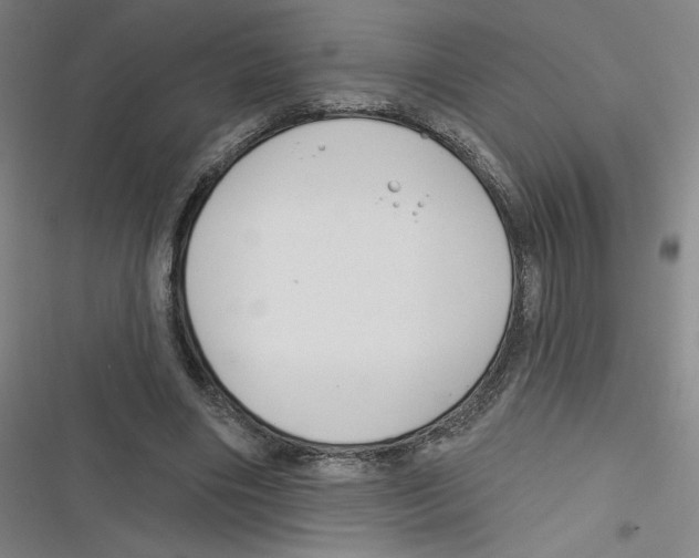 X0000116670490201001111314