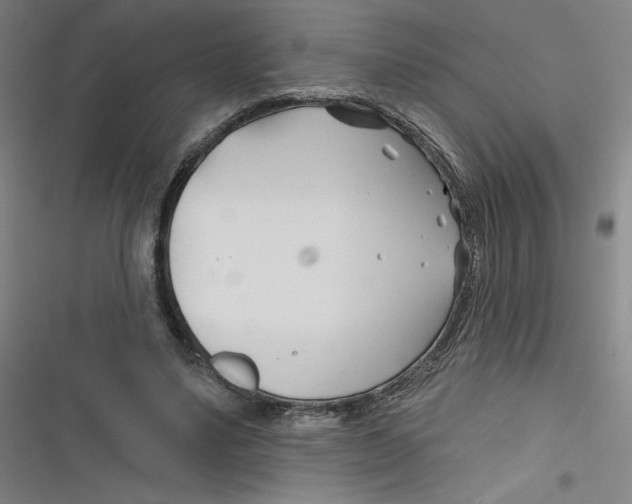 X0000116670491201001111314