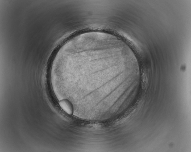 X0000116670492201001111314