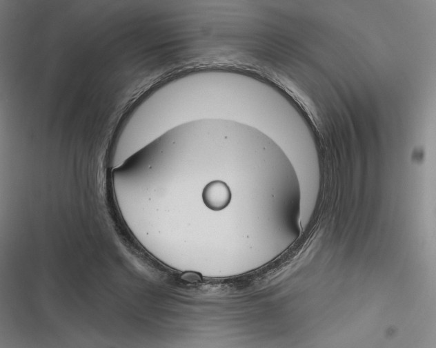 X0000116670493201001111314