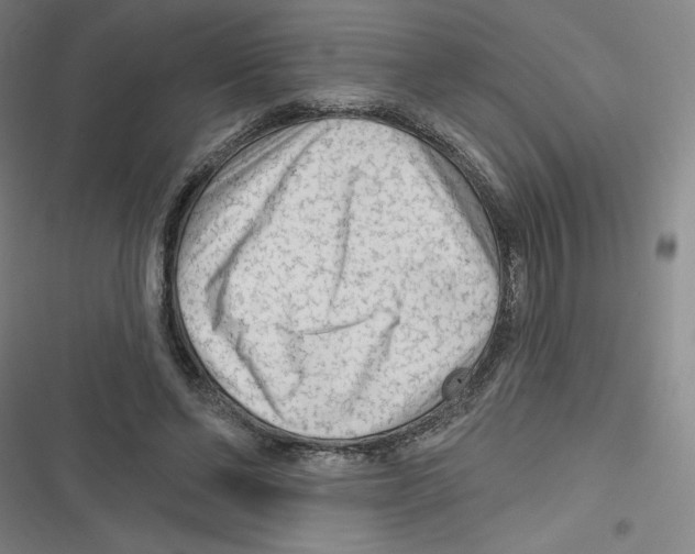 X0000116670494201001111314