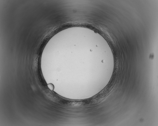 X0000116670495201001111314