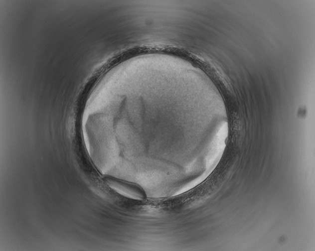 X0000116670496201001111314