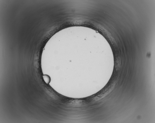 X0000116670497201001111314