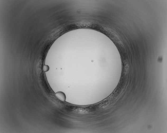 X0000116670498201001111314