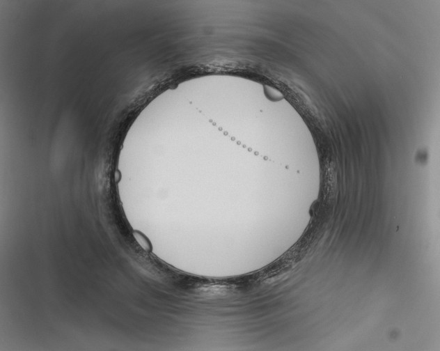 X0000116670499201001111314