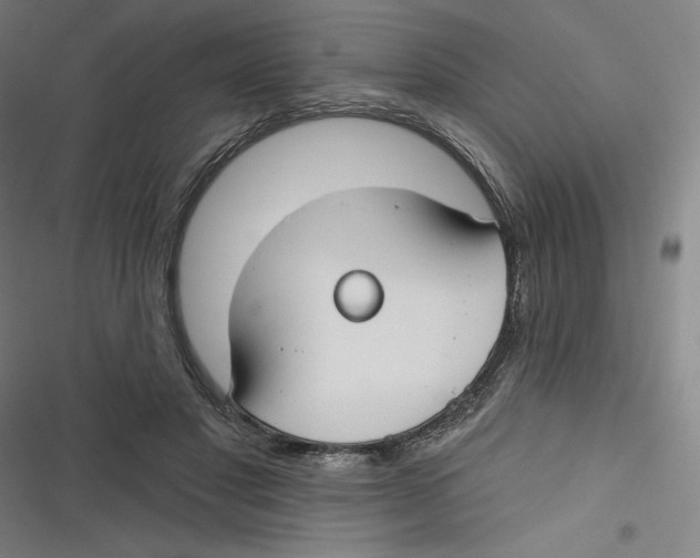 X0000116670501201001111314