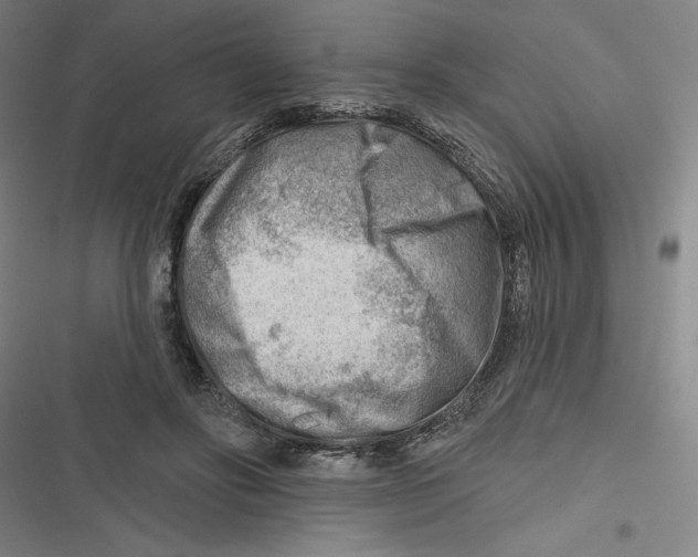 X0000116670502201001111314