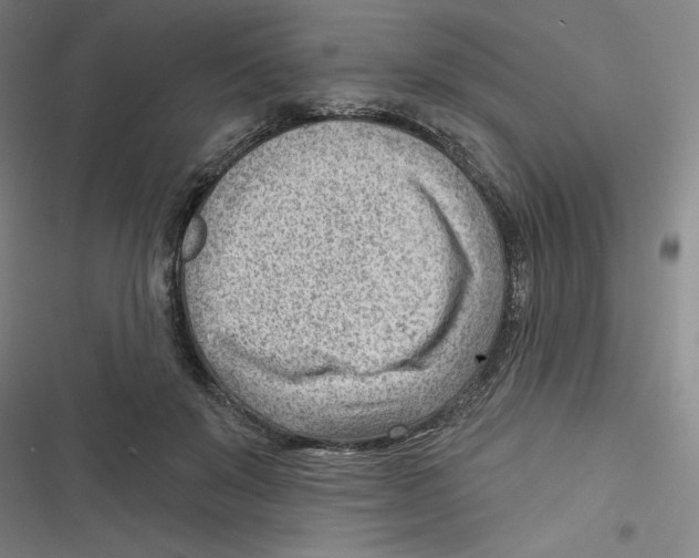 X0000116670503201001111314