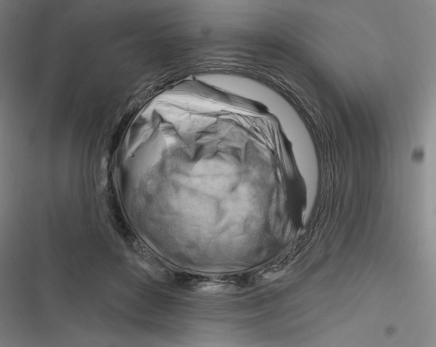 X0000116670504201001111314